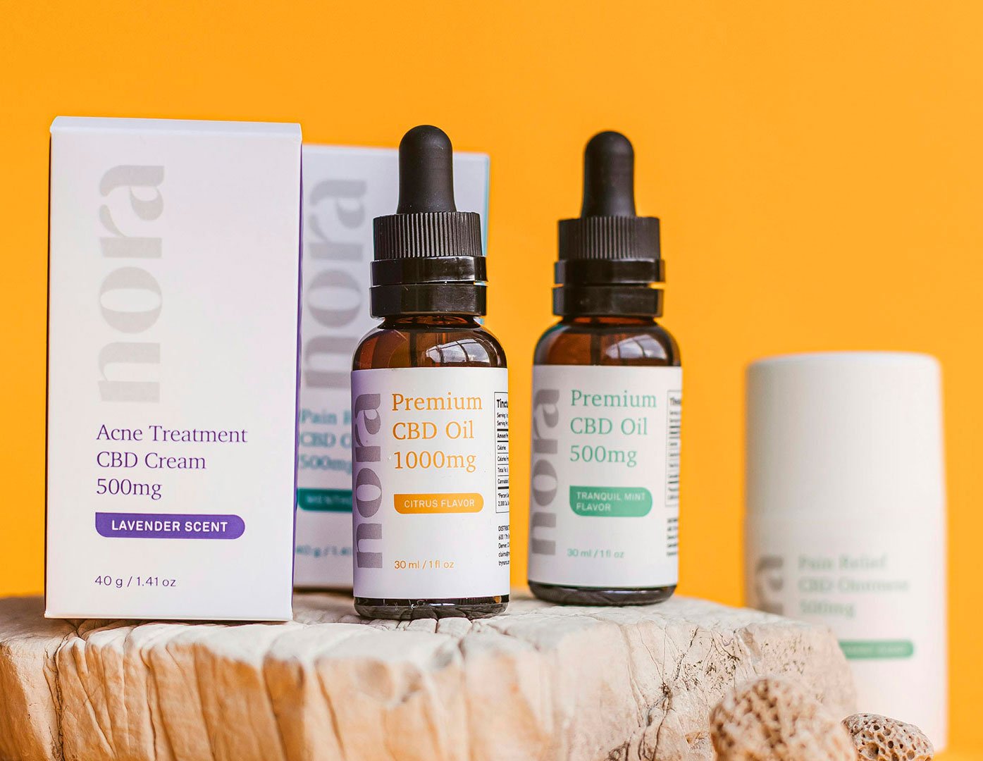 cabezal-seccion-ilustracion-home-1 cabezal-seccion-ilustracion-home-1